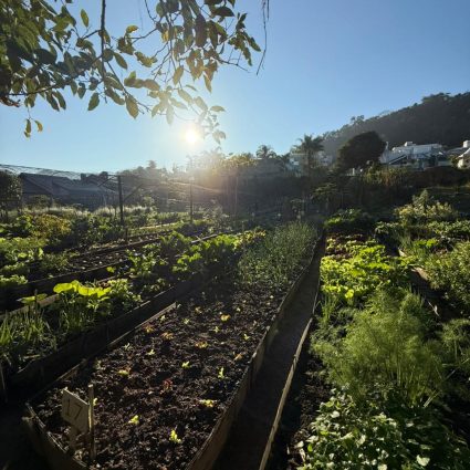 Seminário Cidades Mais Saudáveis