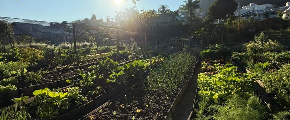 Seminário Cidades Mais Saudáveis