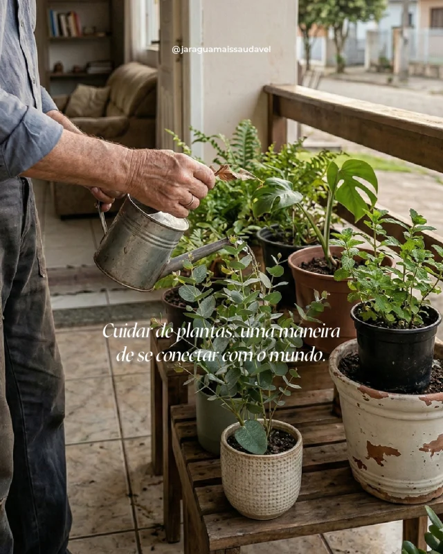 Cuidar de plantas é uma forma simples de se conectar com a vida e o mundo 🌱Estudos, como os de Richard Louv no livro ""Last Child in the Woods"", apontam que contato com a natureza ajuda a reduzir o estresse, melhora o humor e estimula o bem-estar.E, claro, quanto mais verde ao nosso redor, mais benefícios para a saúde física e emocional.Um pequeno hábito capaz de gerar grandes mudanças no dia a dia.#Pertencer #JaraguáMaisSaudável #Plantas #Natureza #Conexão